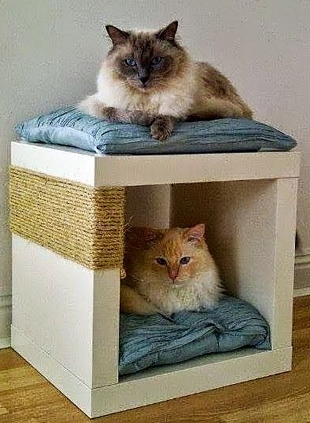 Decoração para quem tem pets