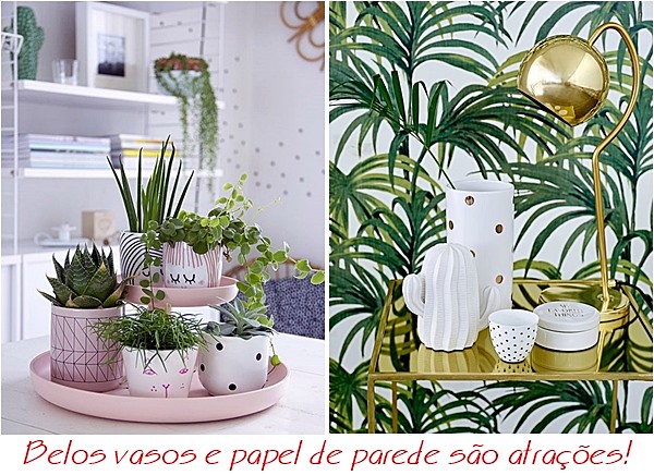 plantas2