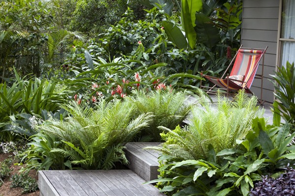 Pequeno Jardim em Estilo Tropical, é possível"