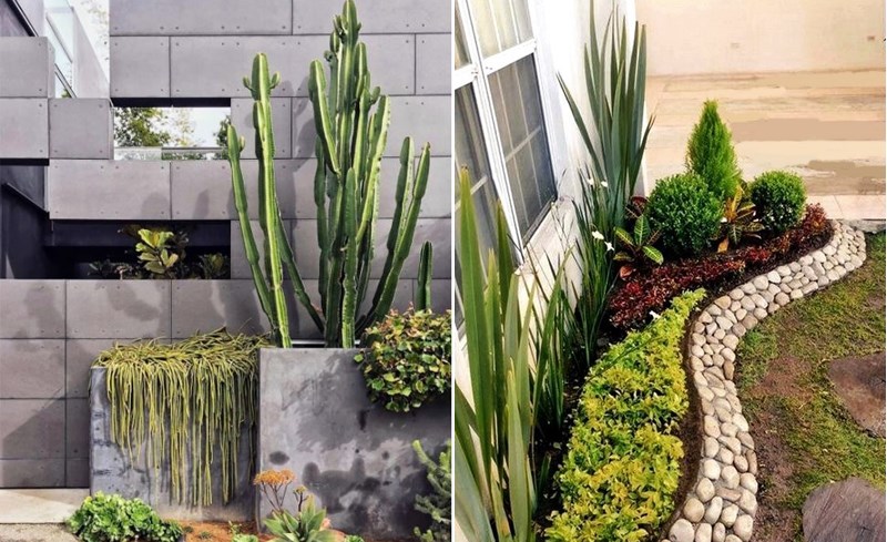 canteiros de jardins com tipos diferentes - Como combinar plantas no jardim ou varanda