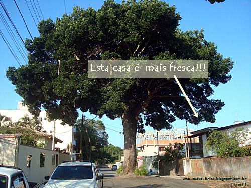 Diminuir calor em casa