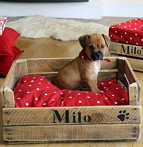 cama cachorro pallet