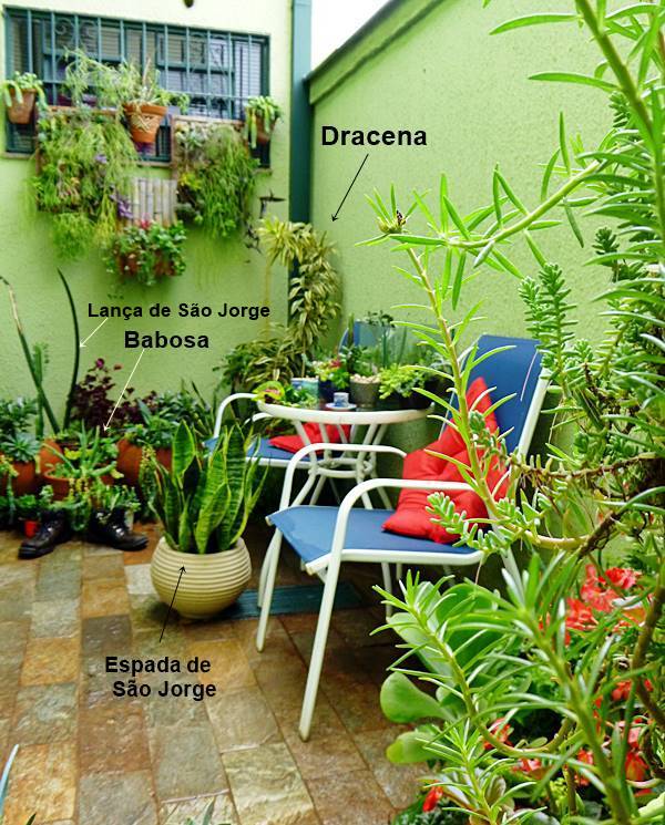 jardim em área pequena