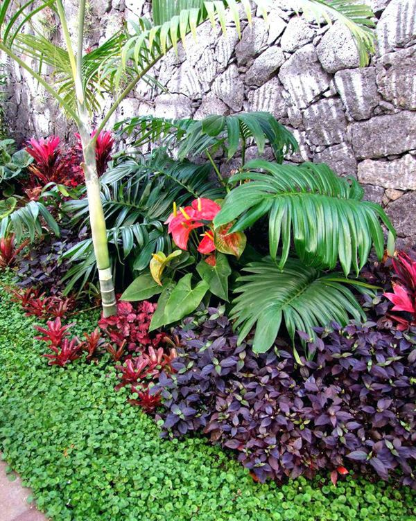 Pequeno Jardim em Estilo Tropical, é possível? - Simples Decoração