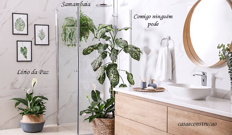 Plantas para banheiro - Simples Decoração