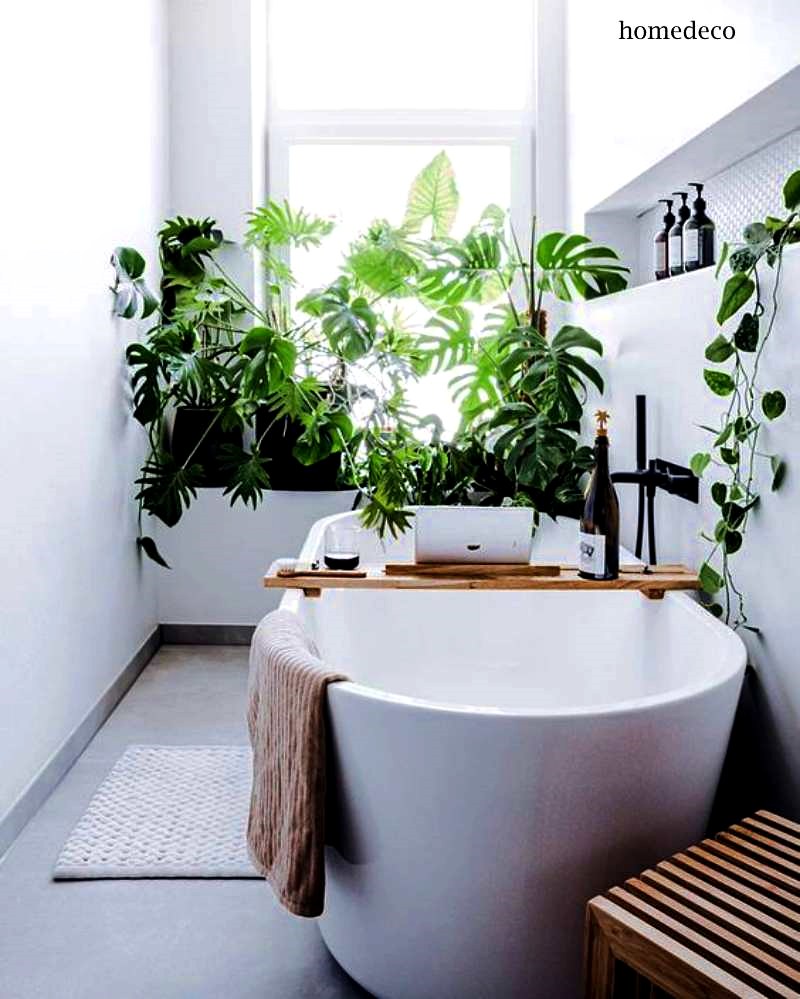 banheiro usando o verde -plantas no banheiro em branco com banheira